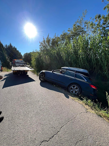 Aperçu des activités de la casse automobile BIANCONE située à BEAUCAIRE (30300)